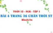 Bài 5 trang 36 Toán 12 Tập 1 Chân trời sáng tạo